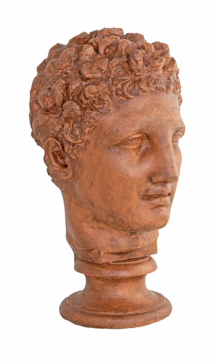 Testa Virile
