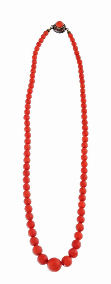 Filo di Corallo