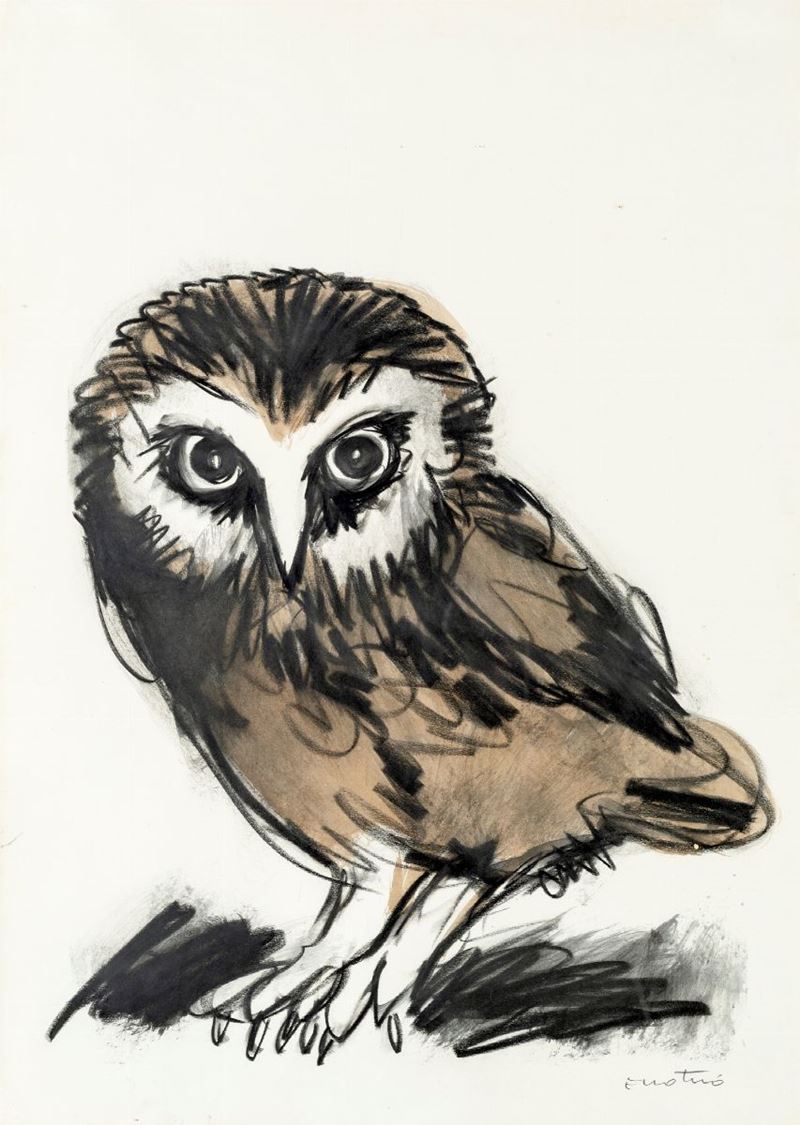 Enotrio Pugliese - Civetta