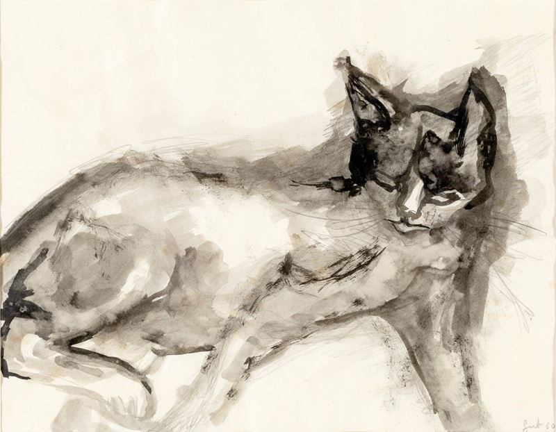 Pittore del XX Secolo - Gatto