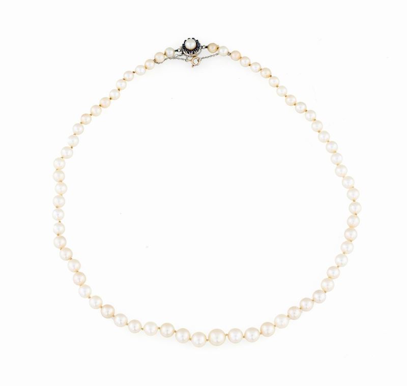 Collana di Perle Giapponesi