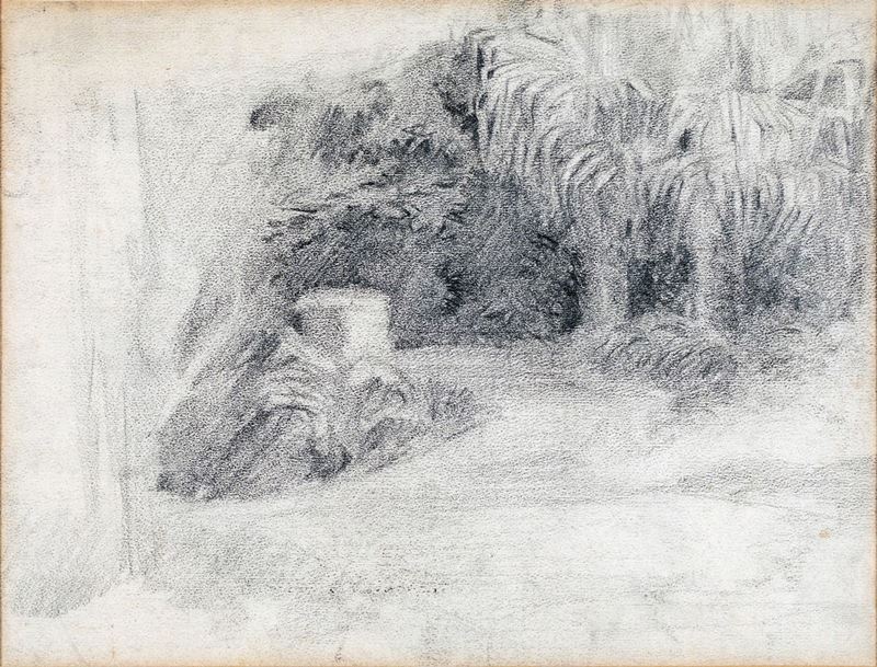 Carlo Erba - Interno di Giardino con Palme