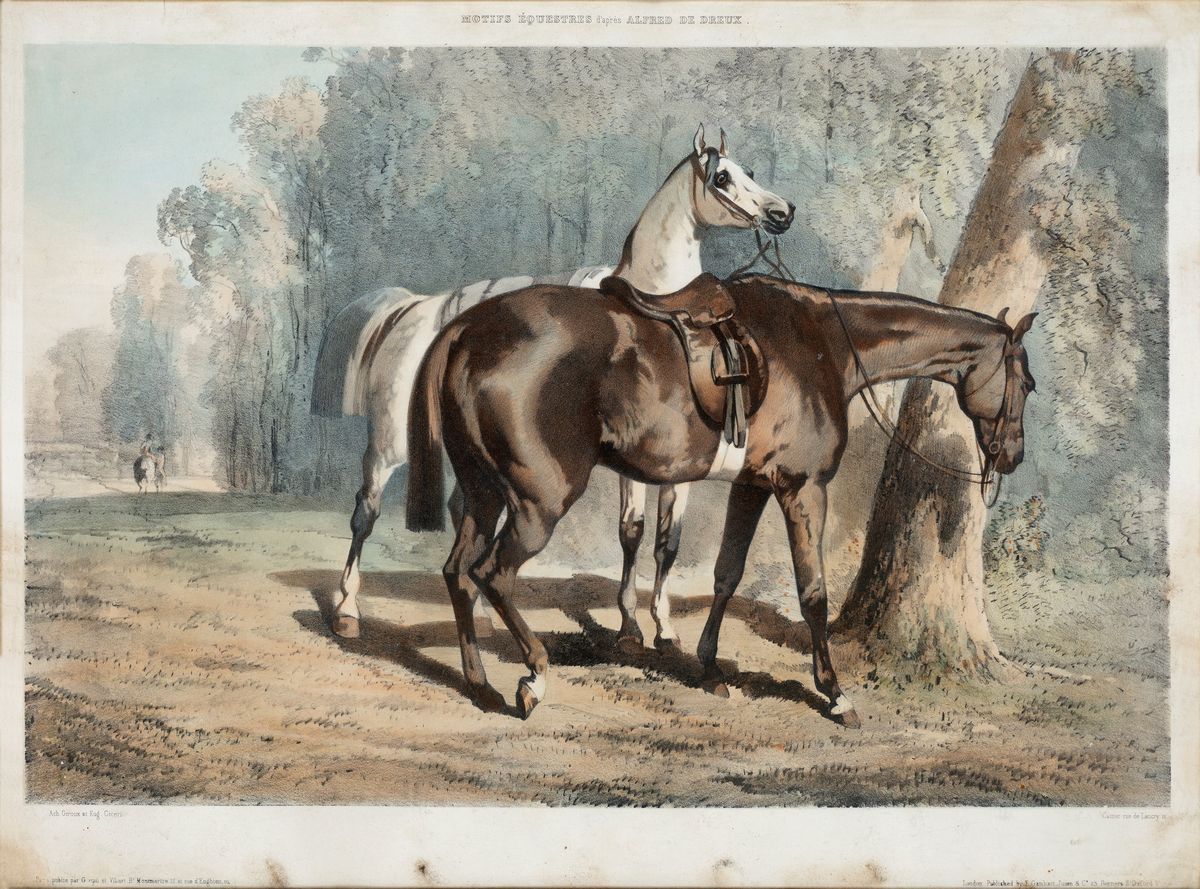 Tre Stampe Colorate