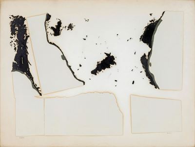 Combustione