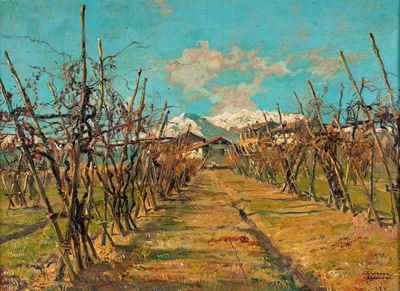 Casolare nel Vigneto