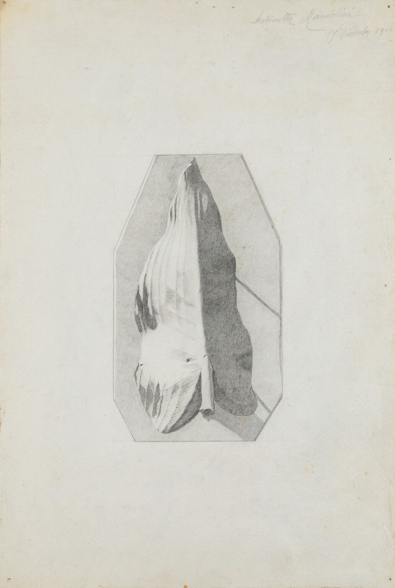 Quattordici Disegni - Fregi Architettonici