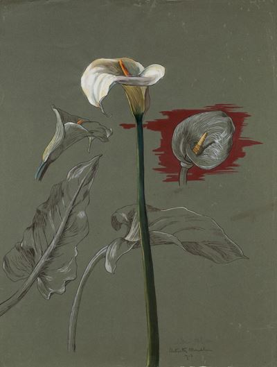 Due Studi di Fiori