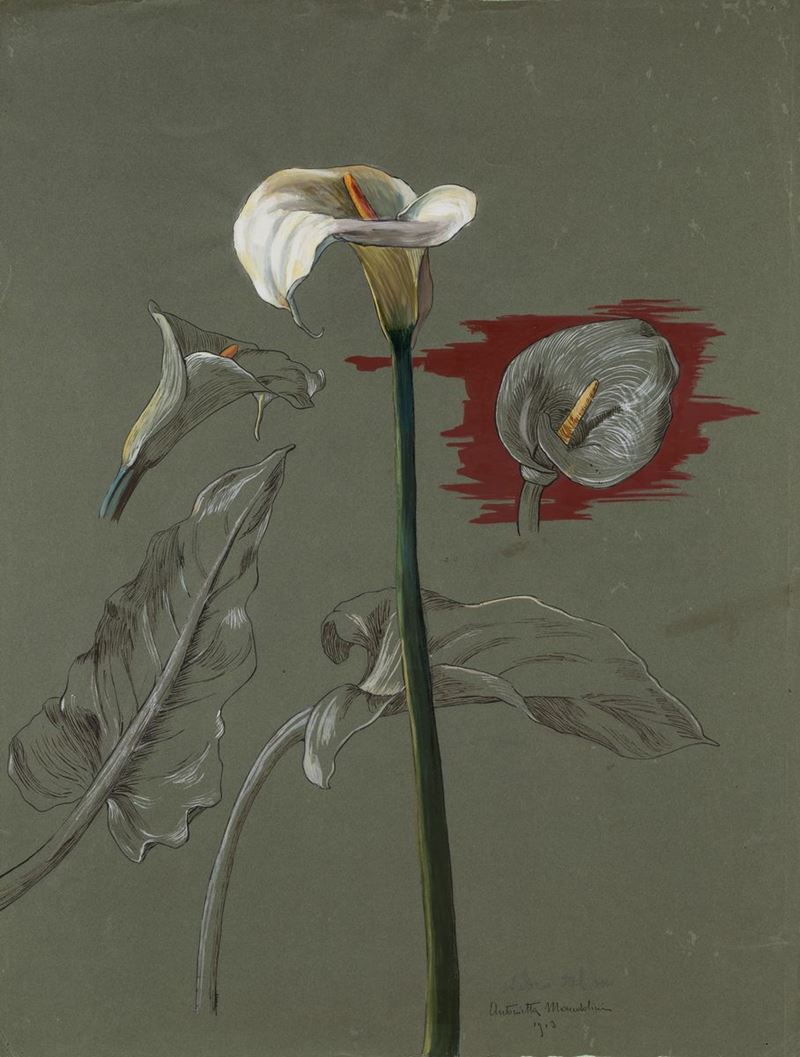Due Studi di Fiori