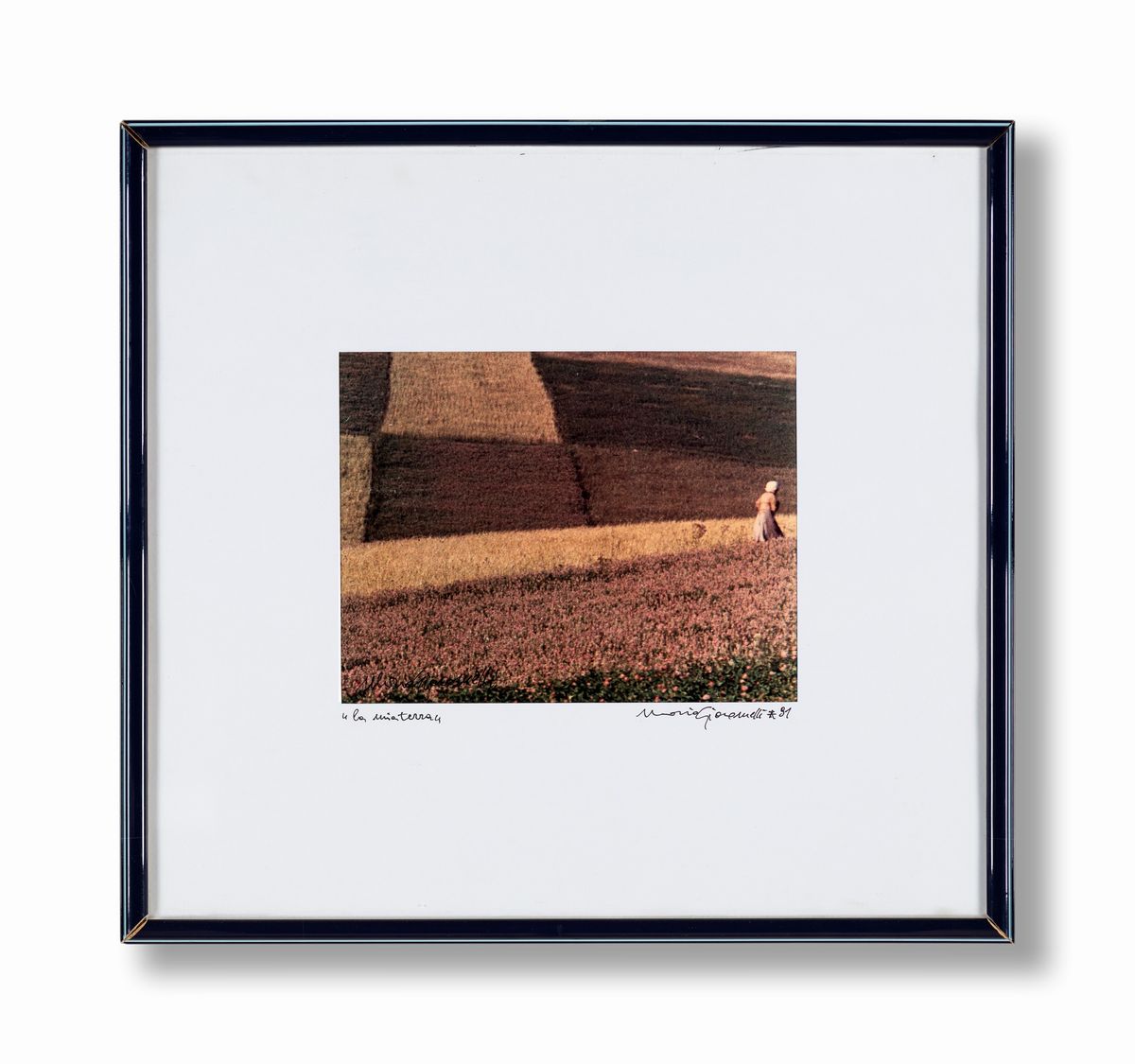 Mario Giacomelli - La Mia Terra