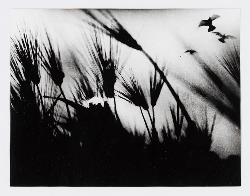 Mario Giacomelli - Spoon River