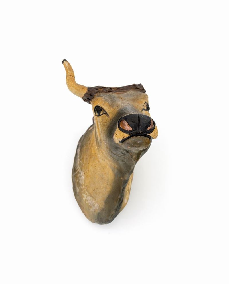 Testa di Bue