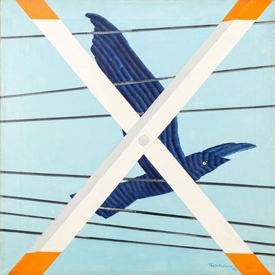 Volo di Uccello