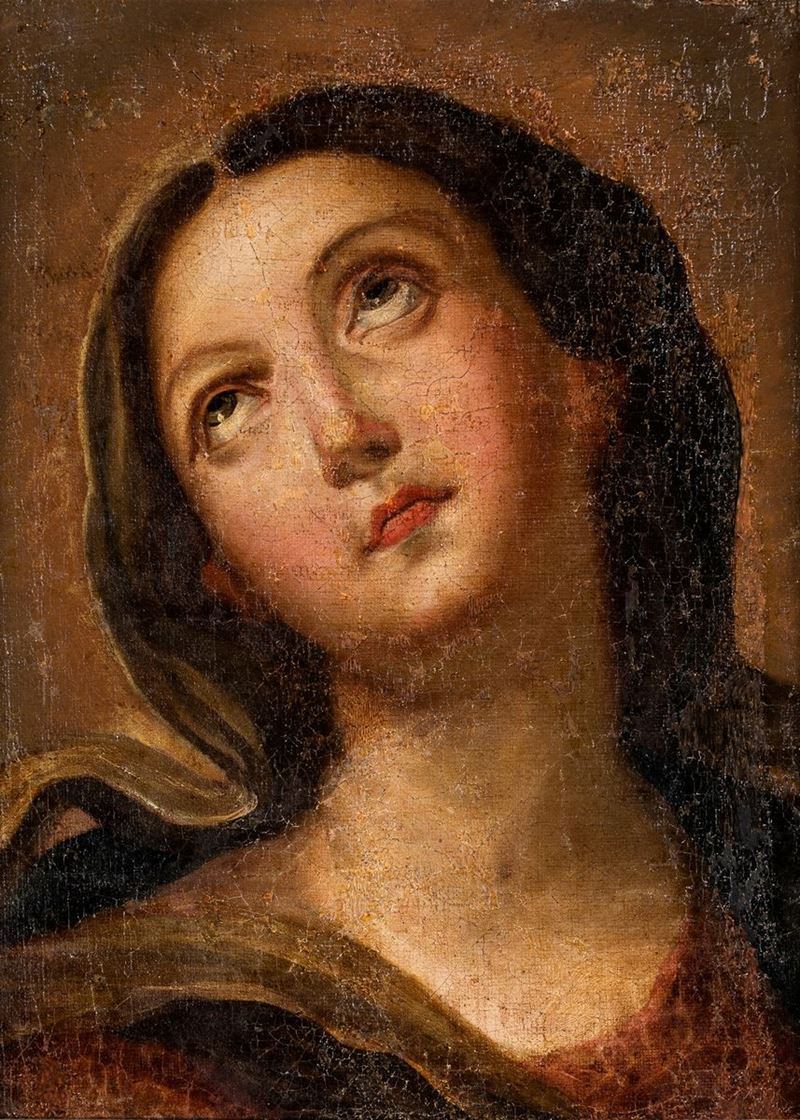 Pittore del XVII Secolo - Madonna
