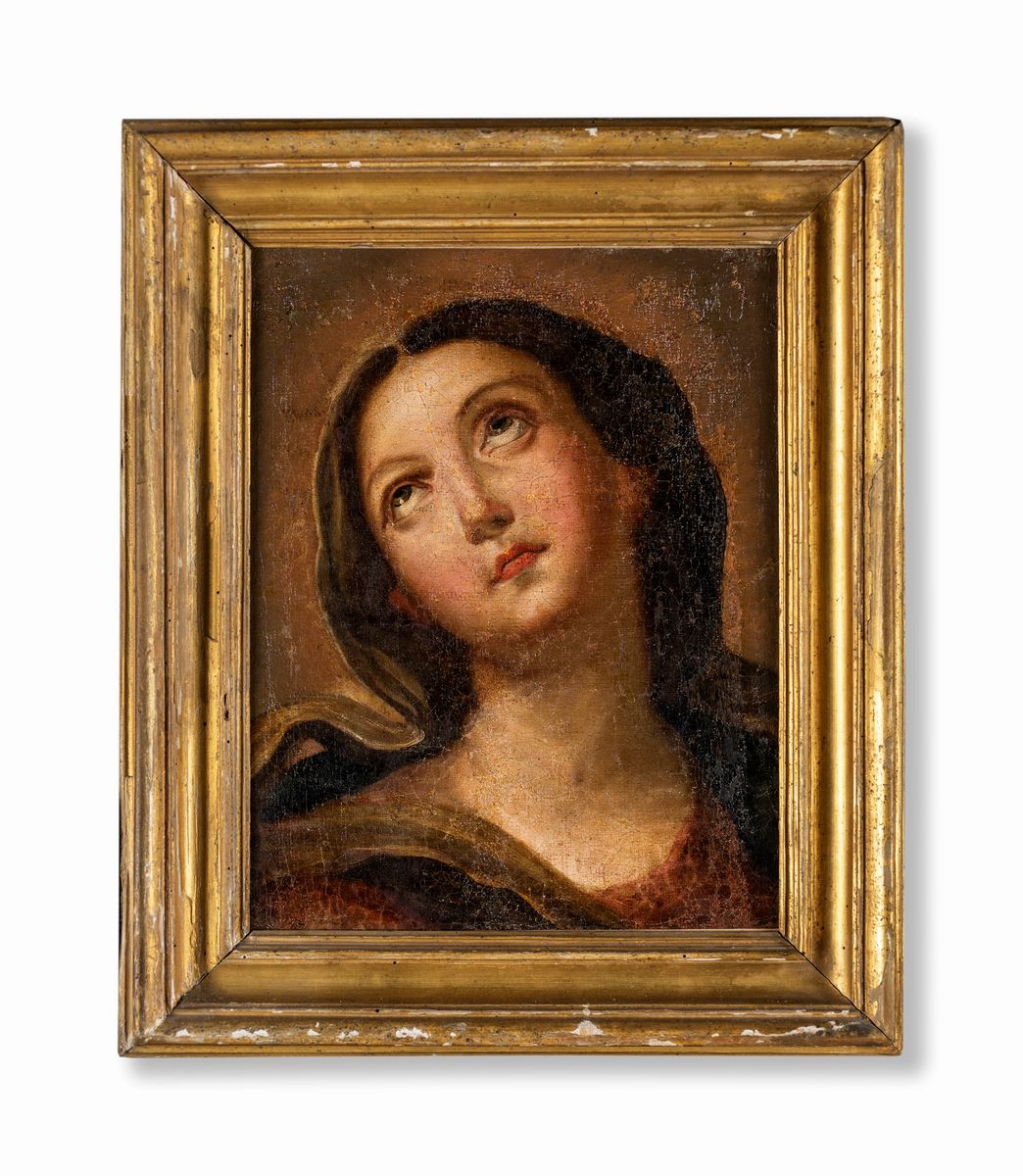 Pittore del XVII Secolo - Madonna