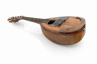 Mandolino a Fondo Piatto, Fine del XIX Secolo
